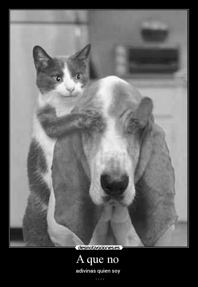 A que no - adivinas quien soy
. . . .