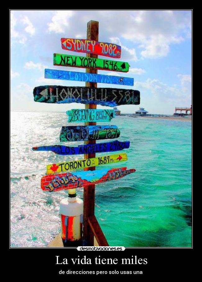 La vida tiene miles -