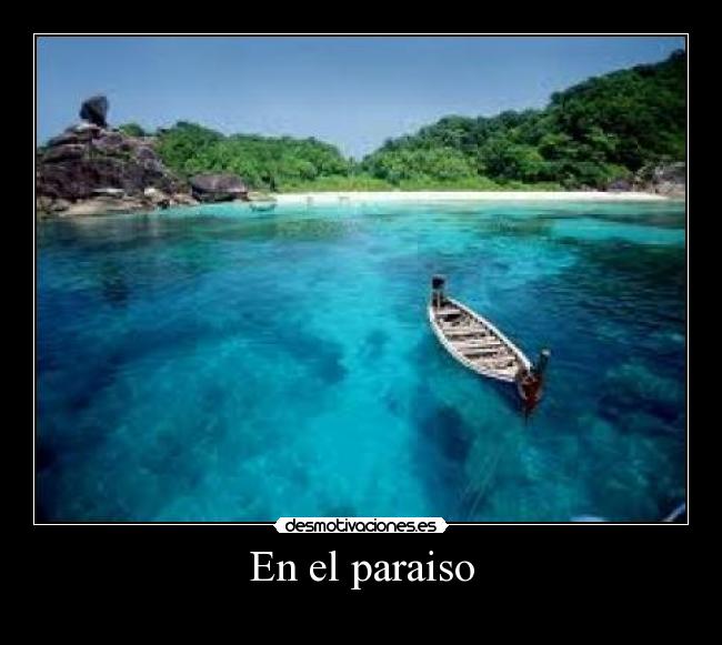 carteles dannyesku99 desmotivaciones