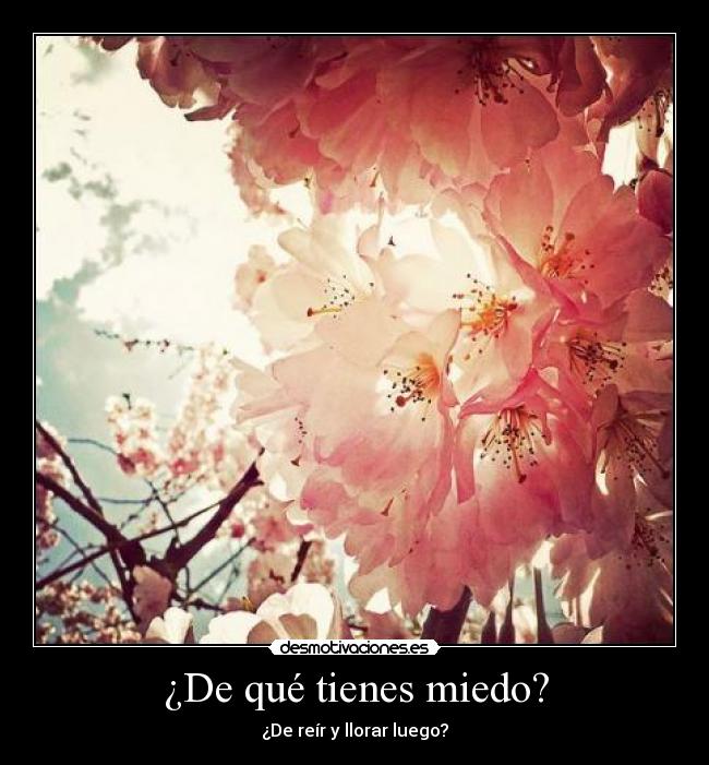 ¿De qué tienes miedo? - 
