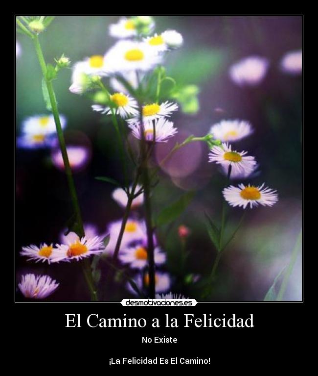 El Camino a la Felicidad -