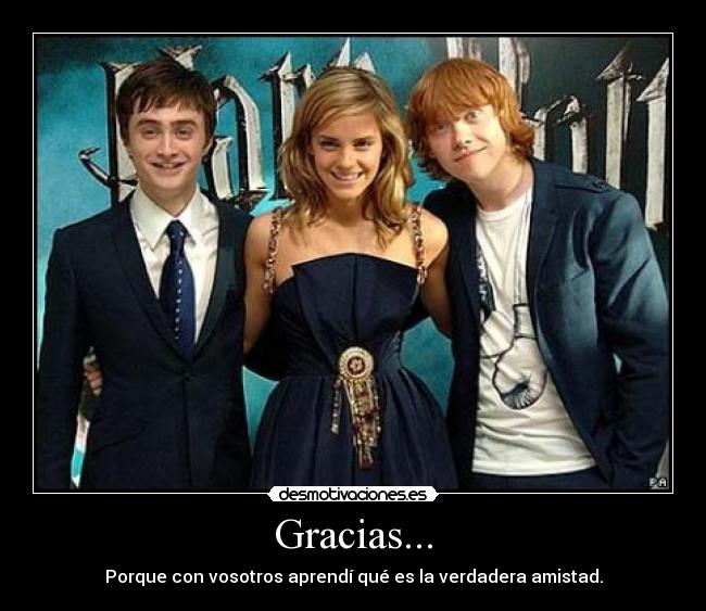 carteles amigos amistad harry potter desmotivaciones