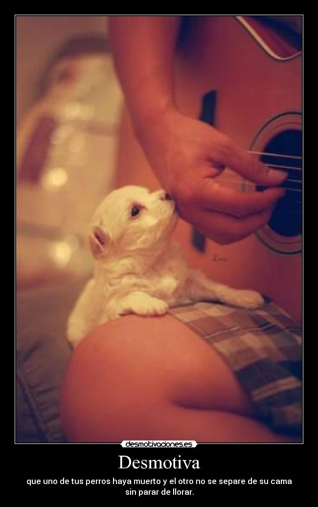 Desmotiva - que uno de tus perros haya muerto y el otro no se separe de su cama
sin parar de llorar.