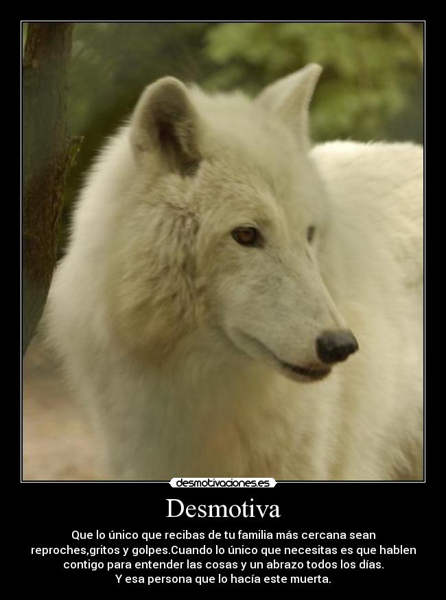 Desmotiva - Que lo único que recibas de tu familia más cercana sean
reproches,gritos y golpes.Cuando lo único que necesitas es que hablen
contigo para entender las cosas y un abrazo todos los días.
Y esa persona que lo hacía este muerta.