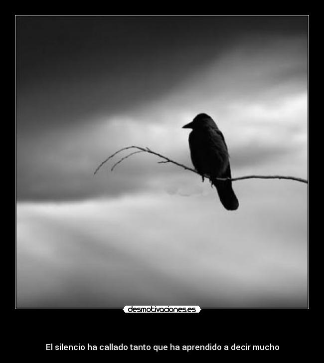  - El silencio ha callado tanto que ha aprendido a decir mucho