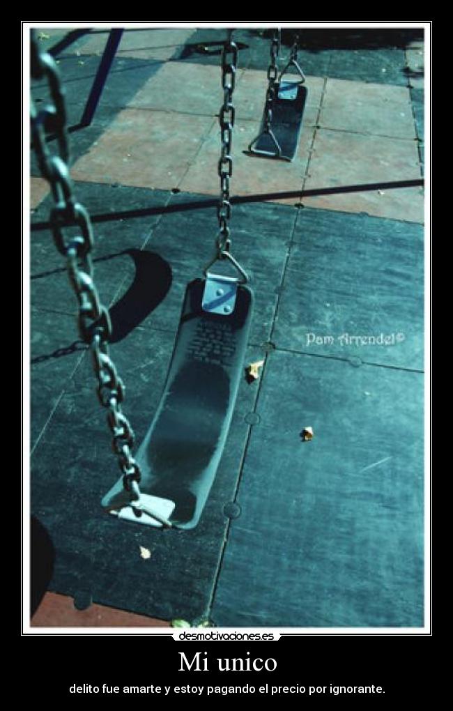 Mi unico - delito fue amarte y estoy pagando el precio por ignorante.