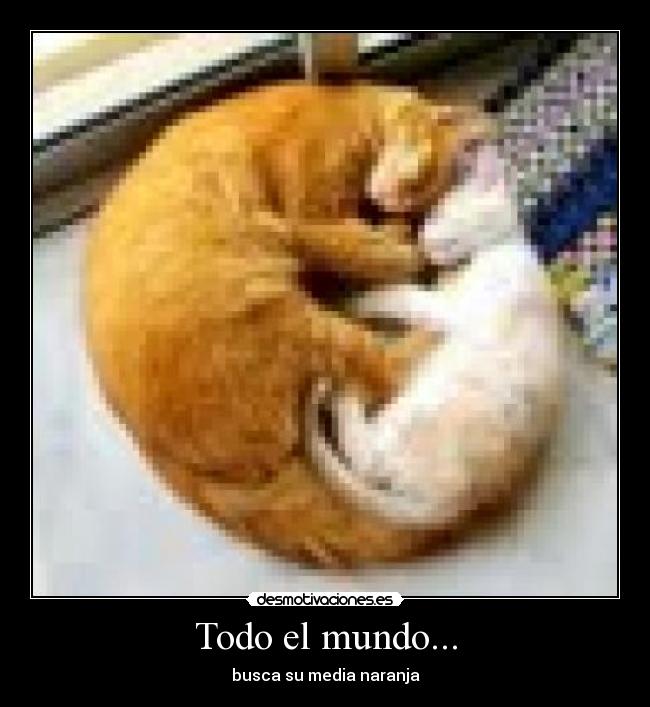 Todo el mundo... - 