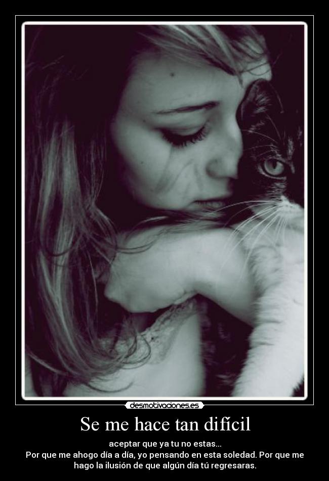 carteles sam93 desmotivaciones