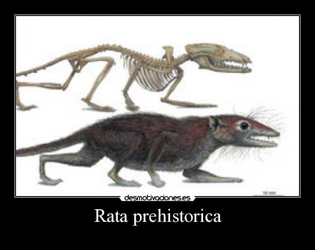 carteles fefeeeweweewewewew desmotivaciones