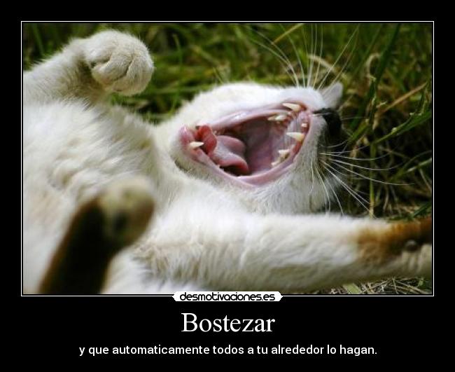 Bostezar - y que automaticamente todos a tu alrededor lo hagan.