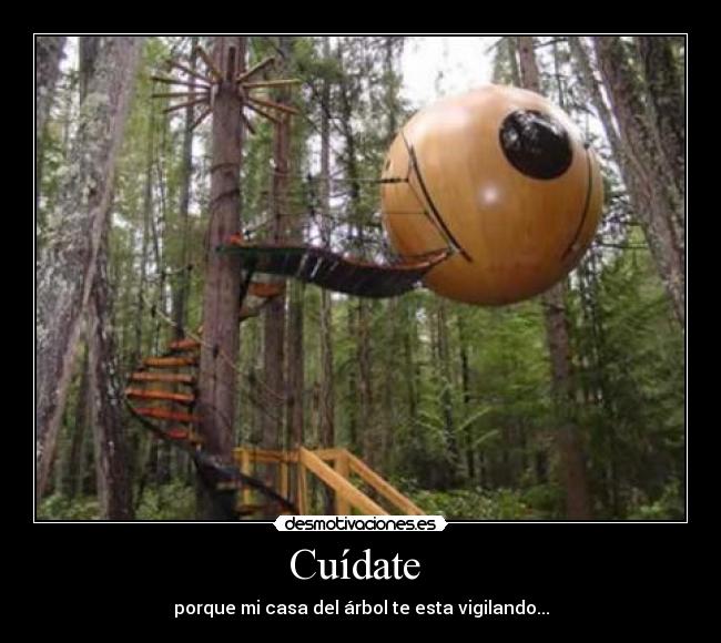 Cuídate - porque mi casa del árbol te esta vigilando...