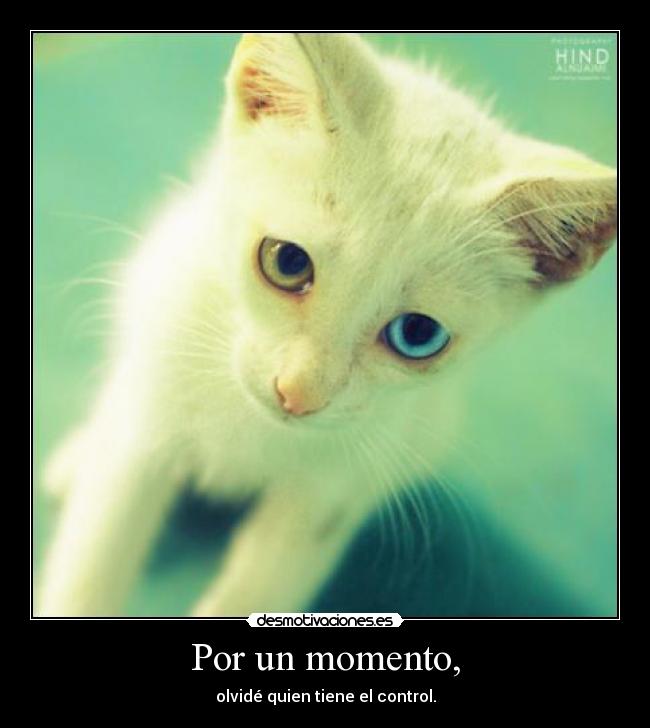 Por un momento, - olvidé quien tiene el control.