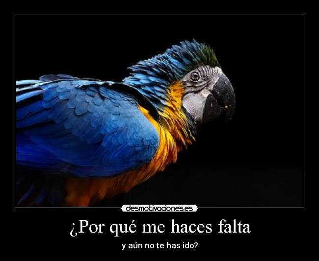 ¿Por qué me haces falta -