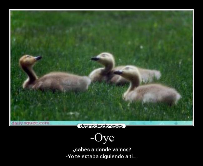-Oye - ¿sabes a donde vamos?
-Yo te estaba siguiendo a ti....