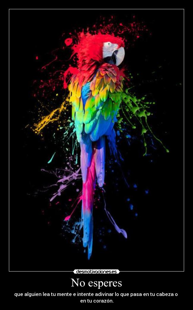 No esperes -