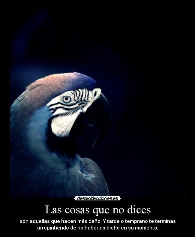 Las cosas que no dices -