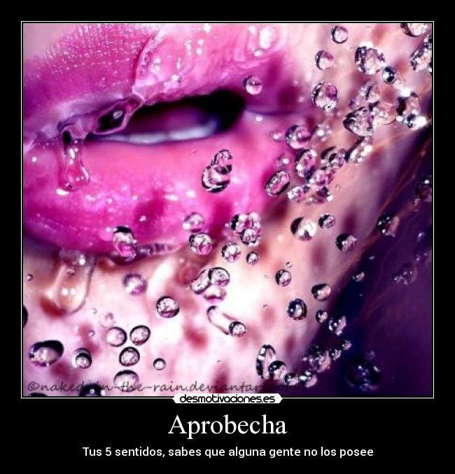 Aprobecha -