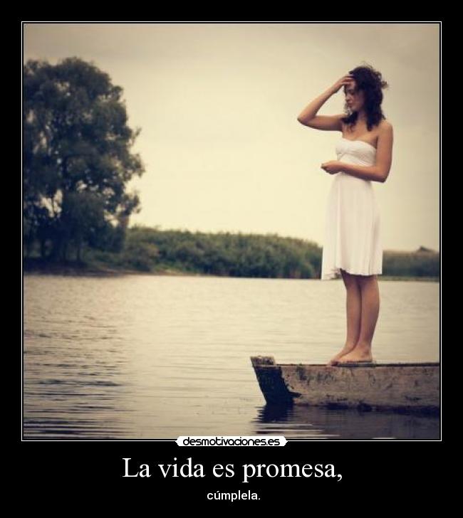 carteles vida two desmotivaciones