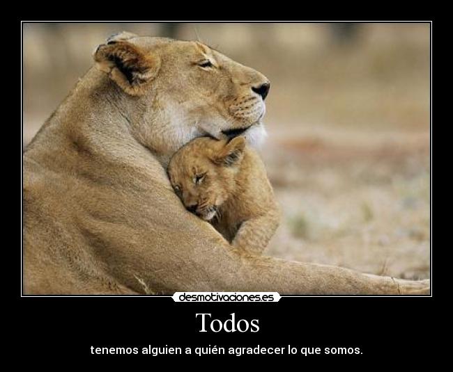 Todos - 