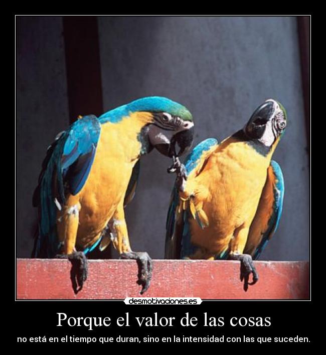 Porque el valor de las cosas -