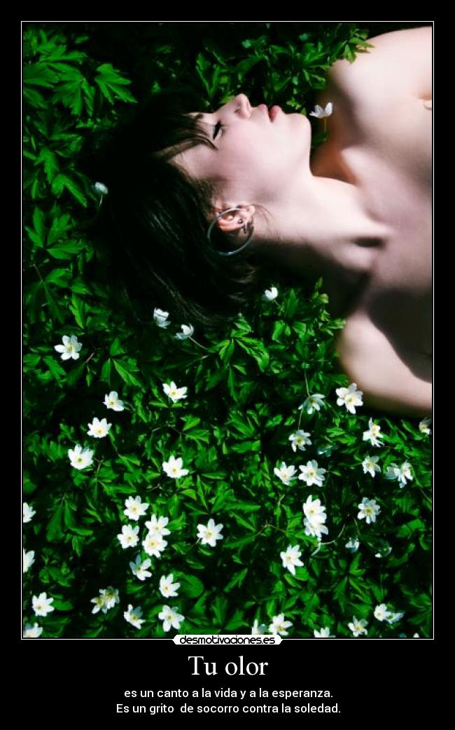 Tu olor -
