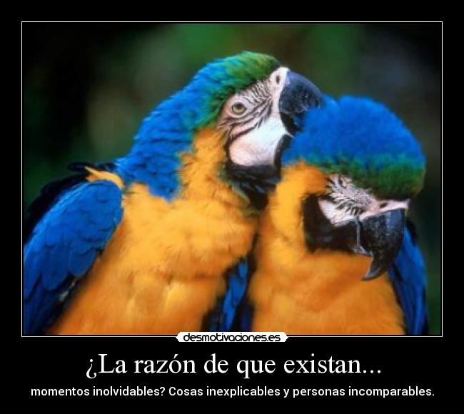 ¿La razón de que existan... -