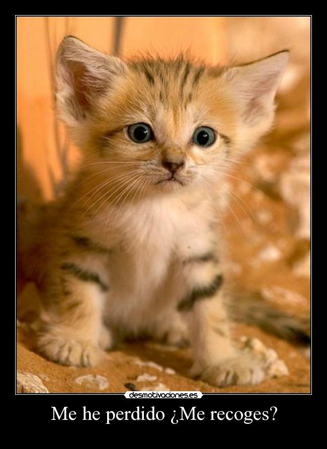 Me he perdido ¿Me recoges? - 