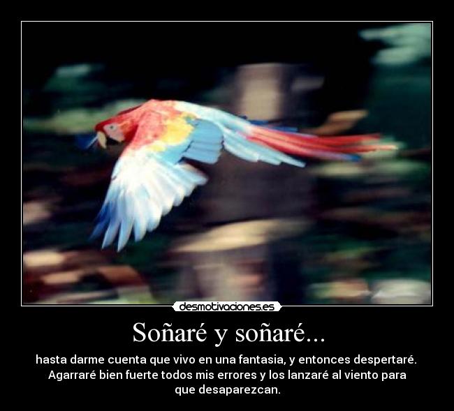 Soñaré y soñaré... - 