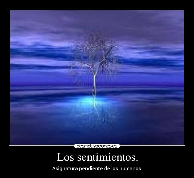Los sentimientos. - Asignatura pendiente de los humanos.