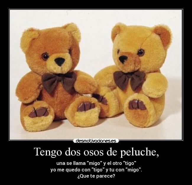 Tengo dos osos de peluche, -
