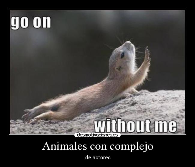 Animales con complejo - 