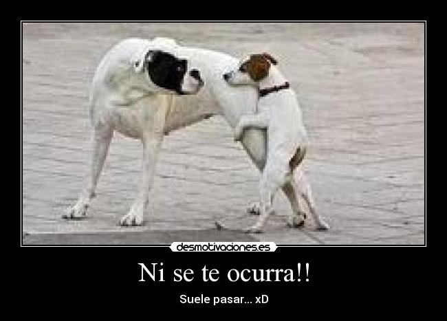 Ni se te ocurra!! -