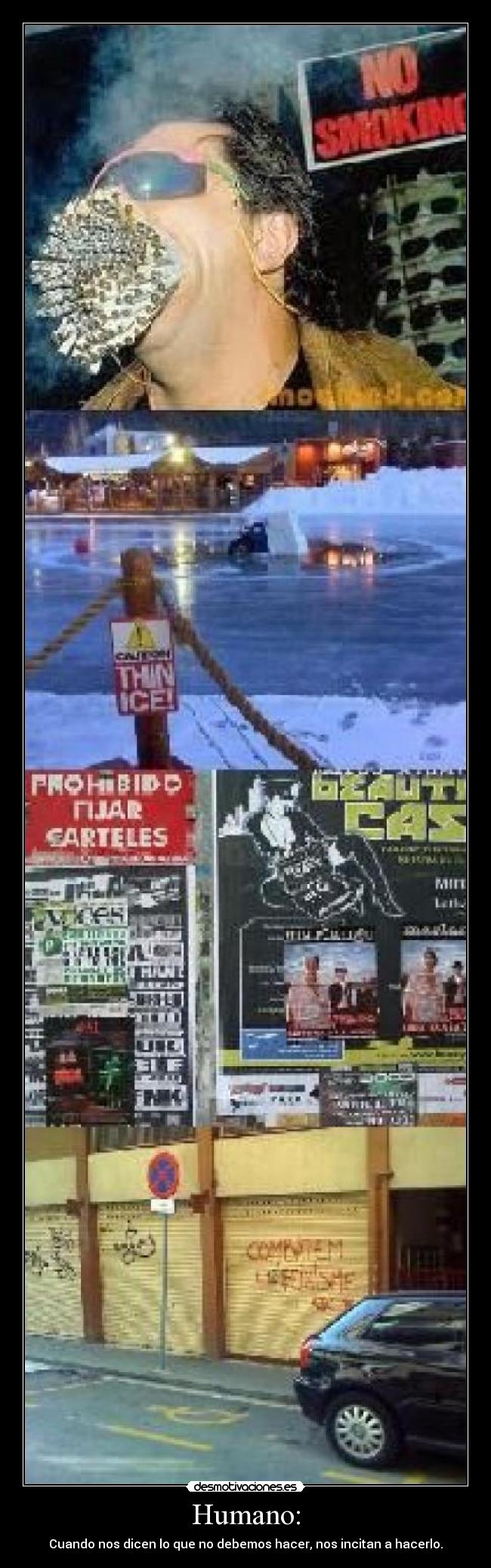 Humano: - Cuando nos dicen lo que no debemos hacer, nos incitan a hacerlo.