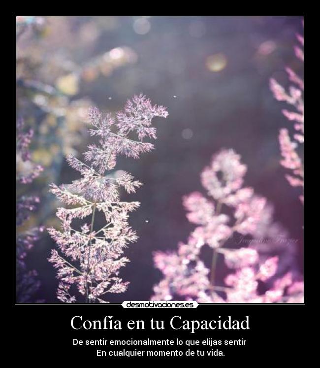 Confía en tu Capacidad - 