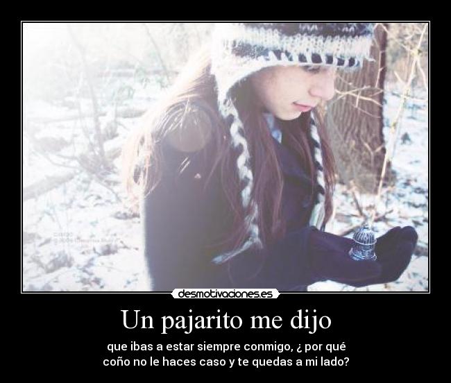 carteles pajarito que hablaba conto una historia desmotivaciones
