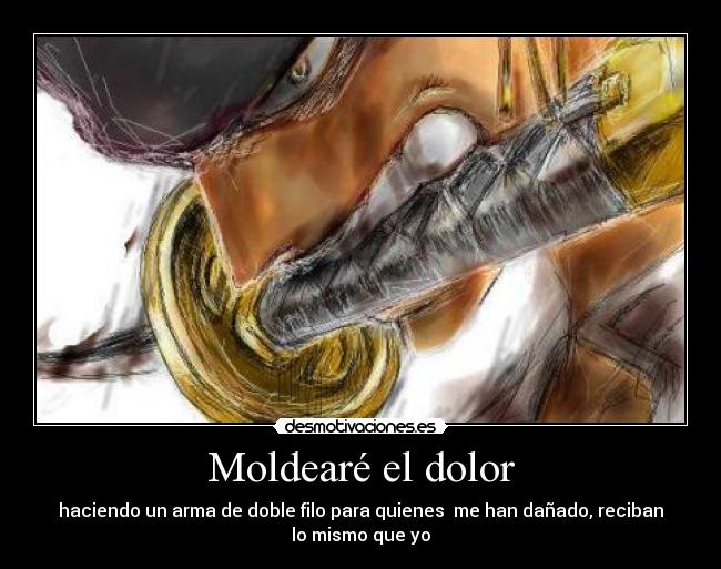 carteles dolor zoro one piece moldear dolor hacer arma doble filo danar recibir mismo desmotivaciones