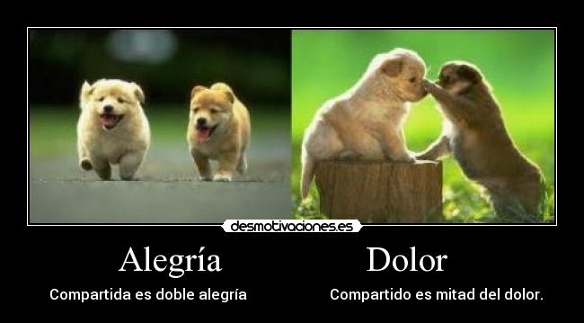 Alegría Dolor -