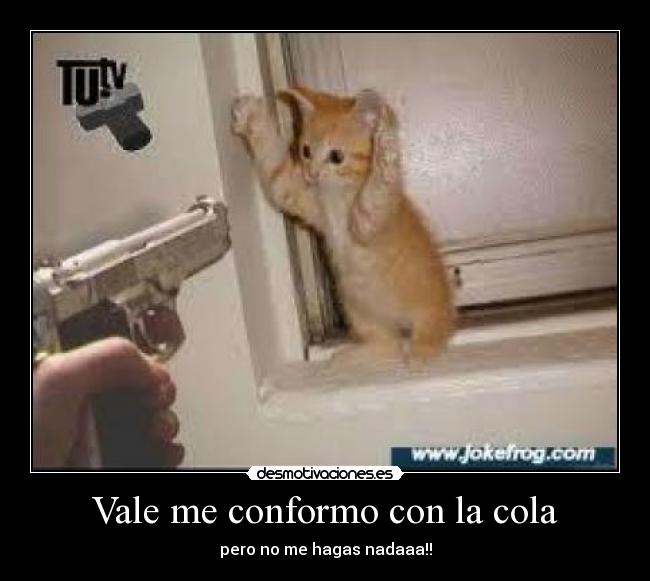Vale me conformo con la cola - 