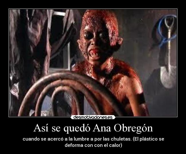 Así se quedó Ana Obregón - cuando se acercó a la lumbre a por las chuletas. (El plástico se
deforma con con el calor)