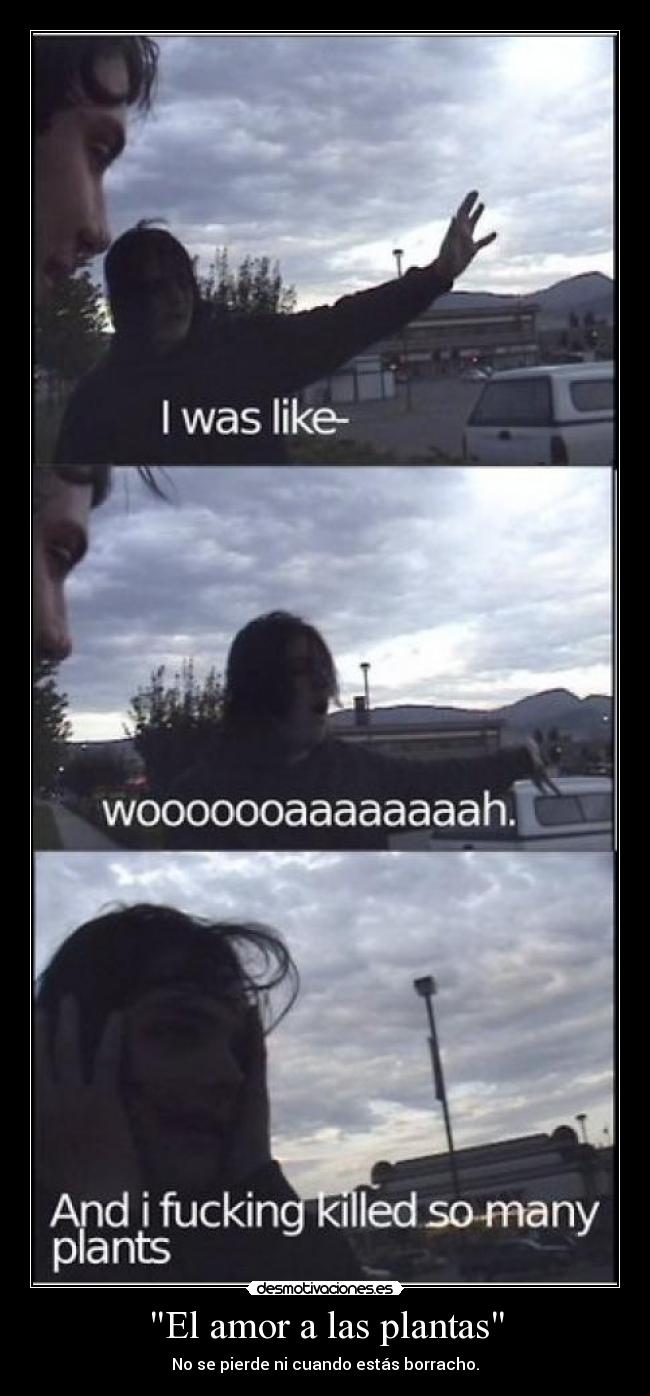 El amor a las plantas - No se pierde ni cuando estás borracho.
