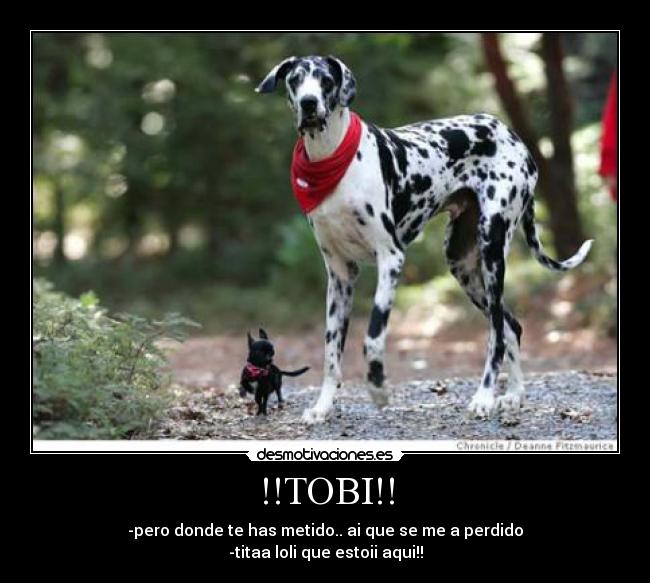 !!TOBI!! -