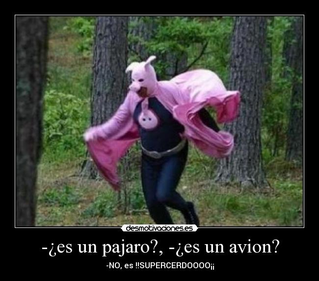 -¿es un pajaro?, -¿es un avion? - -NO, es !!SUPERCERDOOOO¡¡