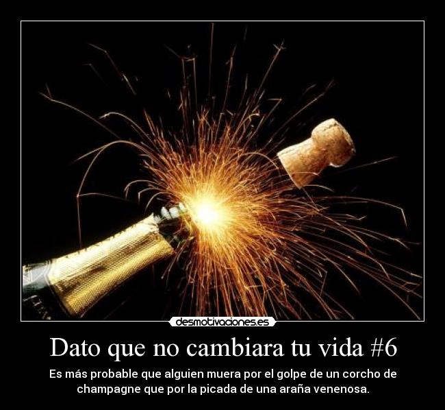 Dato que no cambiara tu vida #6 - Es más probable que alguien muera por el golpe de un corcho de
champagne que por la picada de una araña venenosa.