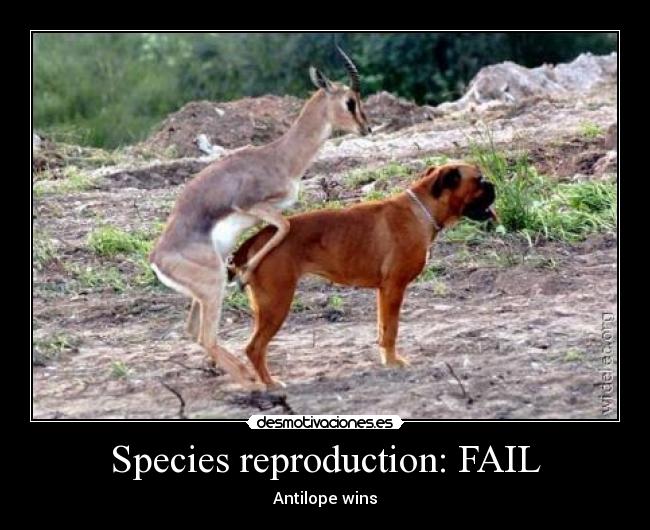 Species reproduction: FAIL - Antilope wins