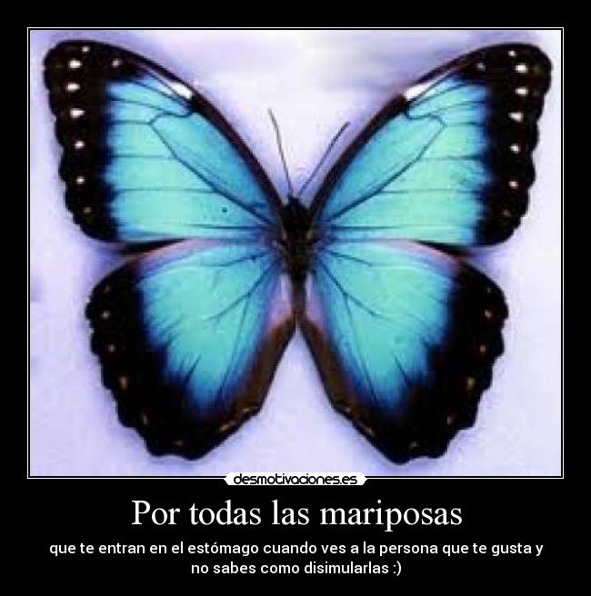 Por todas las mariposas - que te entran en el estómago cuando ves a la persona que te gusta y
no sabes como disimularlas :)