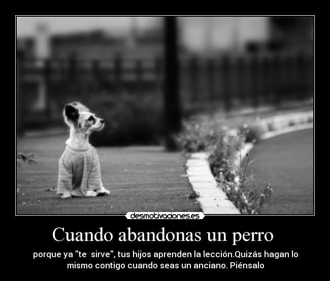 Cuando abandonas un perro  - porque ya te  sirve, tus hijos aprenden la lección.Quizás hagan lo
mismo contigo cuando seas un anciano. Piénsalo