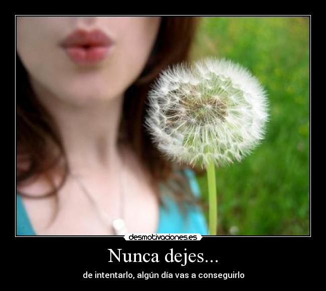 Nunca dejes... - 