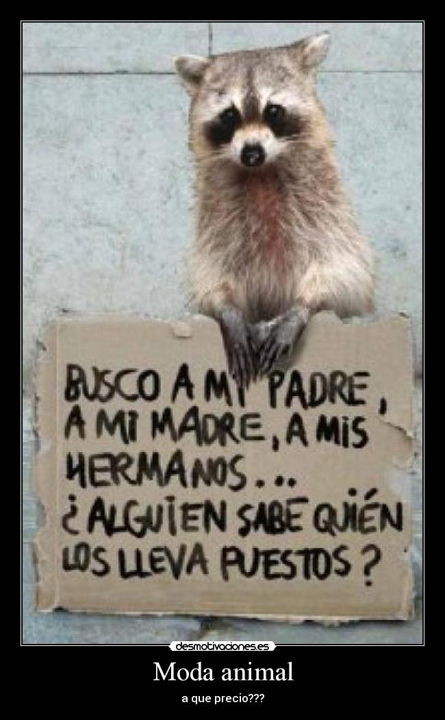 Moda animal - a que precio???