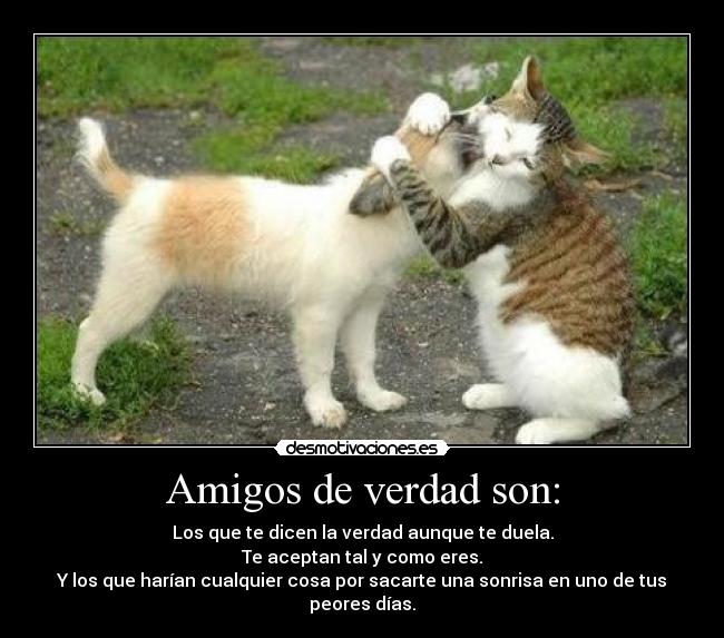 Amigos de verdad son: - Los que te dicen la verdad aunque te duela.
Te aceptan tal y como eres.
Y los que harían cualquier cosa por sacarte una sonrisa en uno de tus peores días.