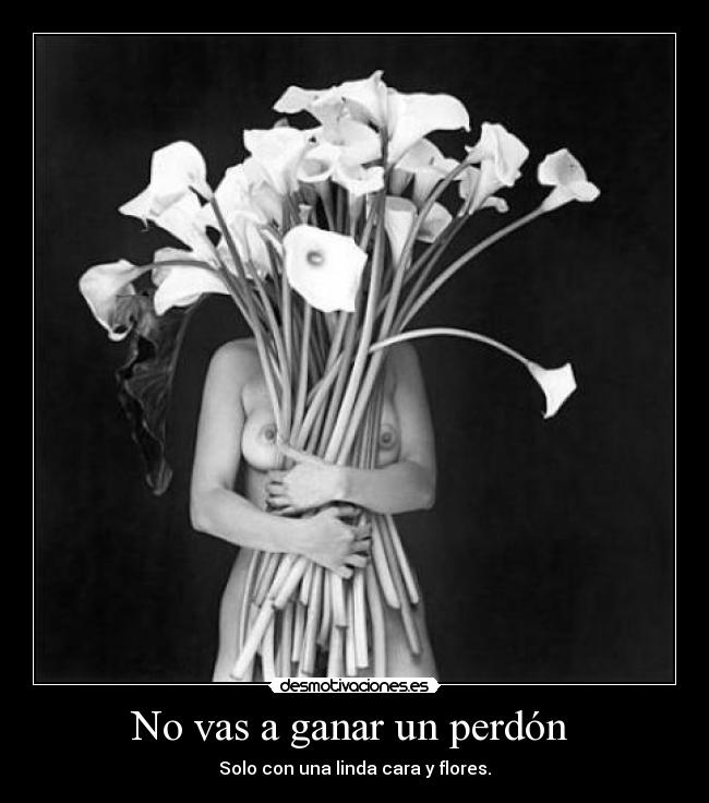 No vas a ganar un perdón -